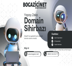 WiseCP Yapay Zeka Domain Sihirbazı
